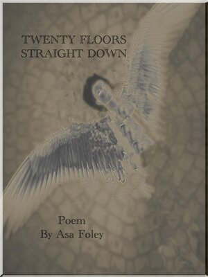 cover image of Twenty Floors Straight Down